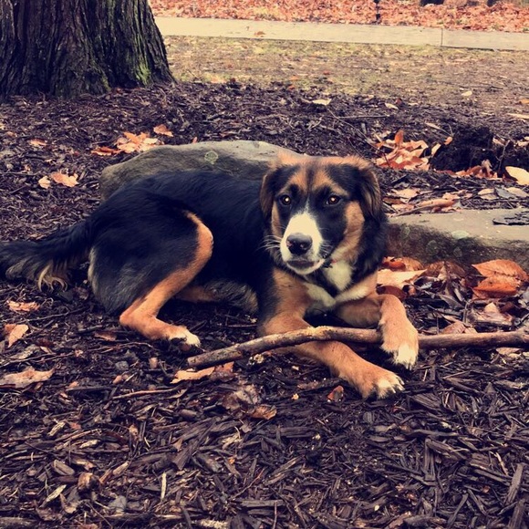 Meet your Posher, Rhonda - Picture 1 of 1